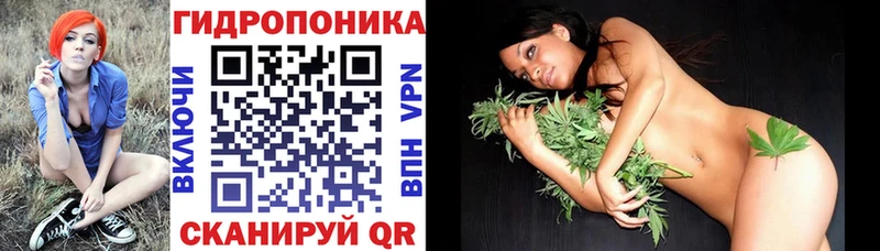 Шишки марихуана конопля  Чапаевск 